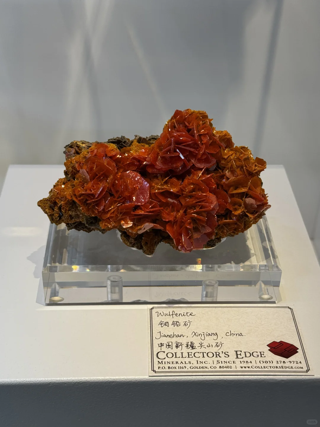 南京！预计本周末最热闹的地方…