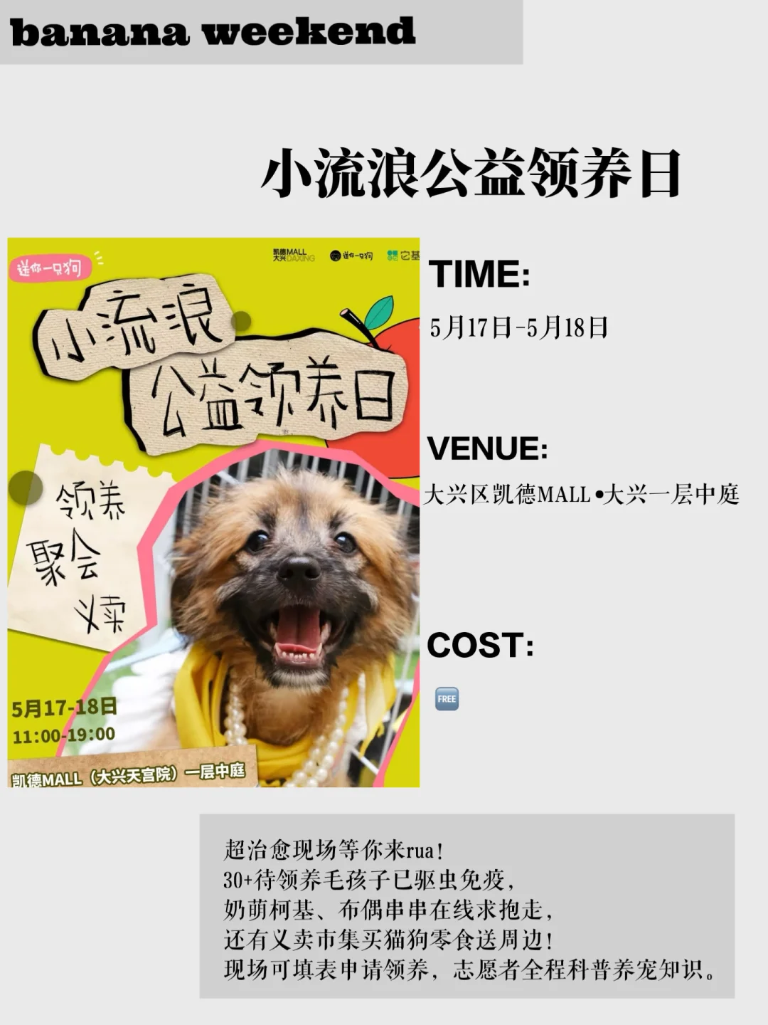 北京周末活动合集?周末这里玩❗️