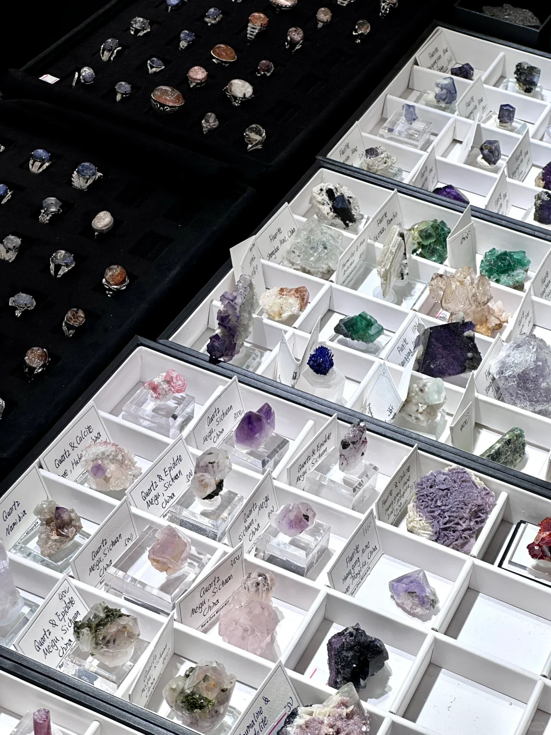 南京40000㎡免费新展?挖化石/摸陨石…好逛！