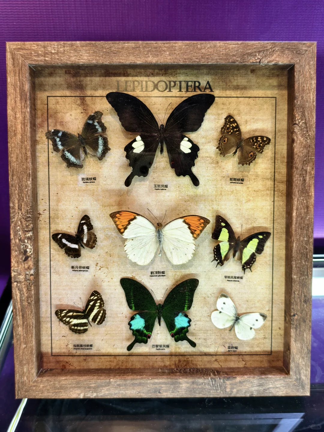 南京?矿物宝石博览会 ?