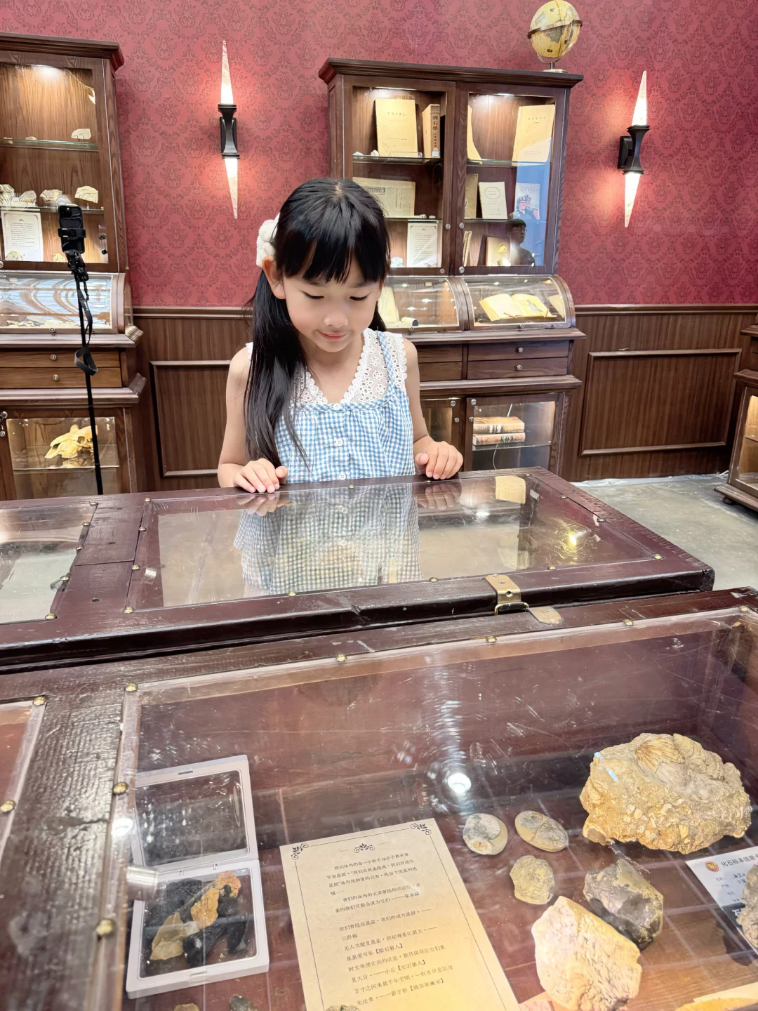 小学生挑战玩转南京矿博会，详细攻略来啦‼️