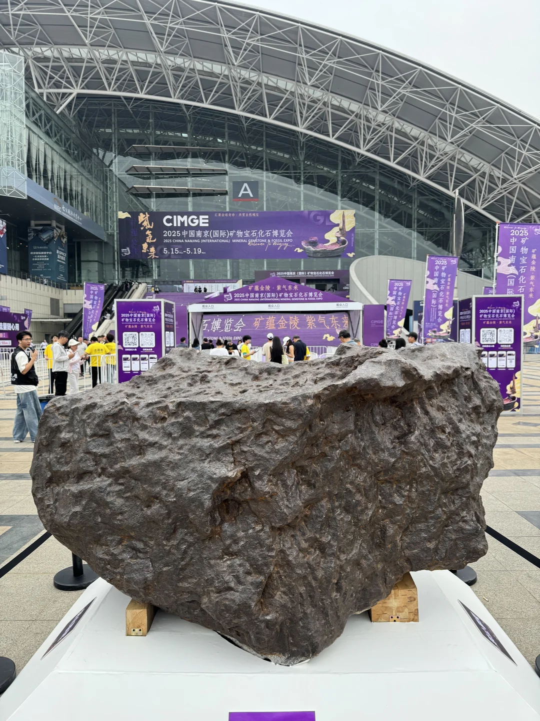 真正的「宝藏」展?南京矿博会太好逛啦?