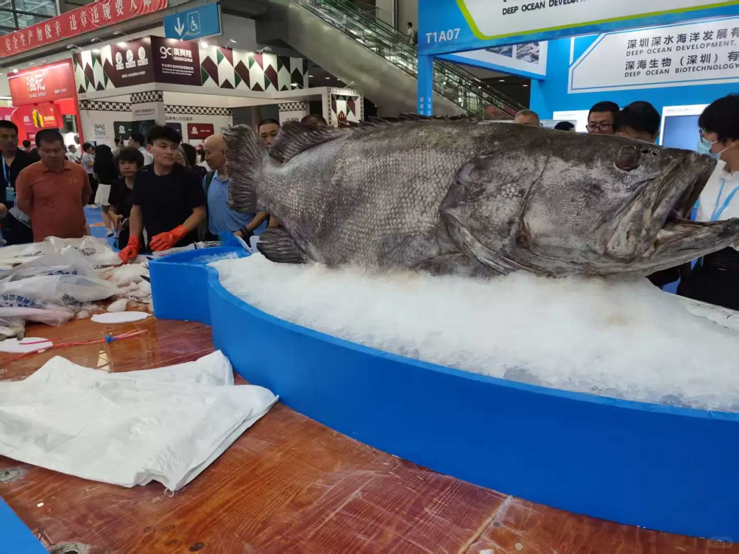 第一次参观深圳渔业博览会
