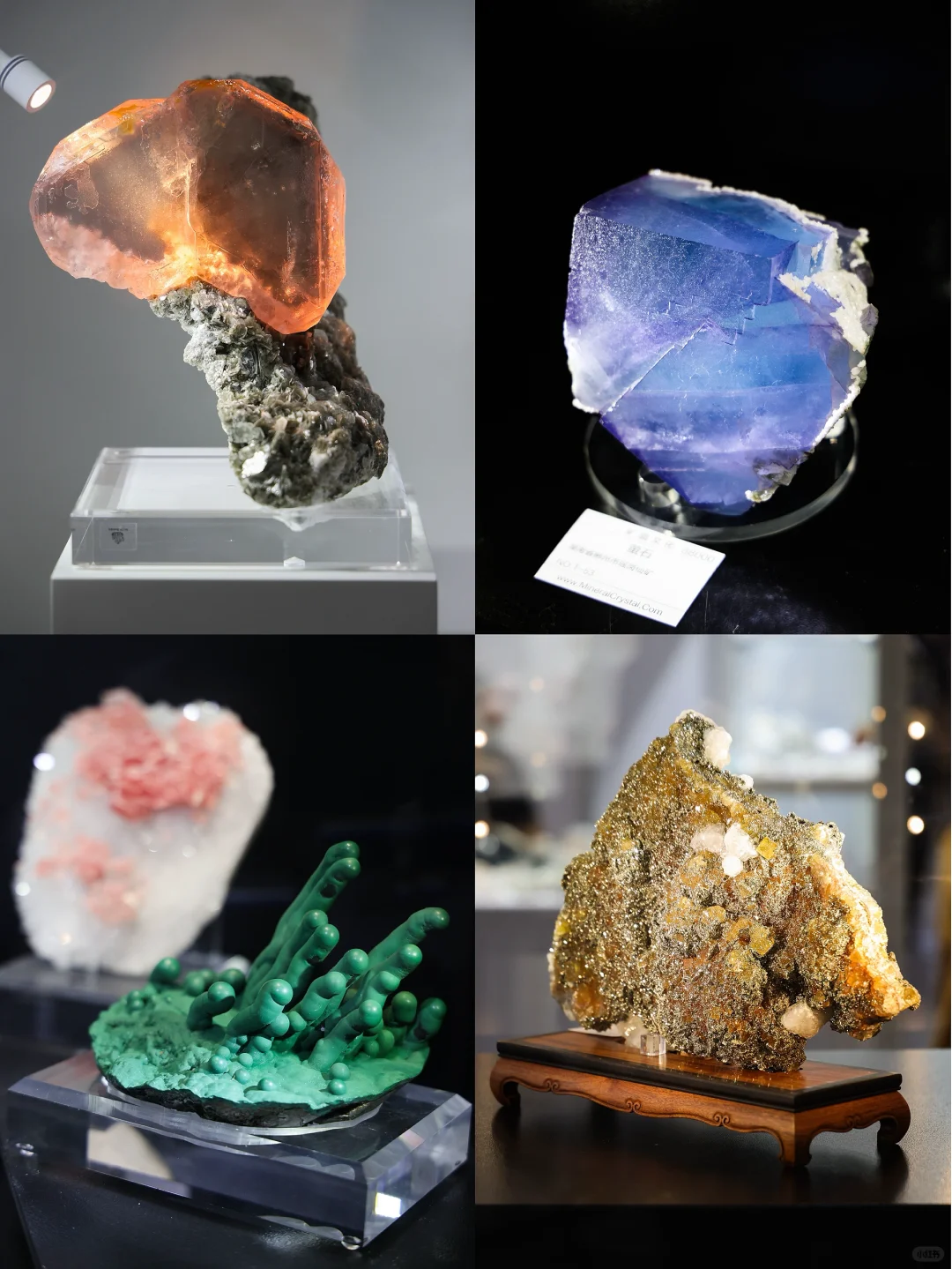 真正的「宝藏」展?南京矿博会太好逛啦?