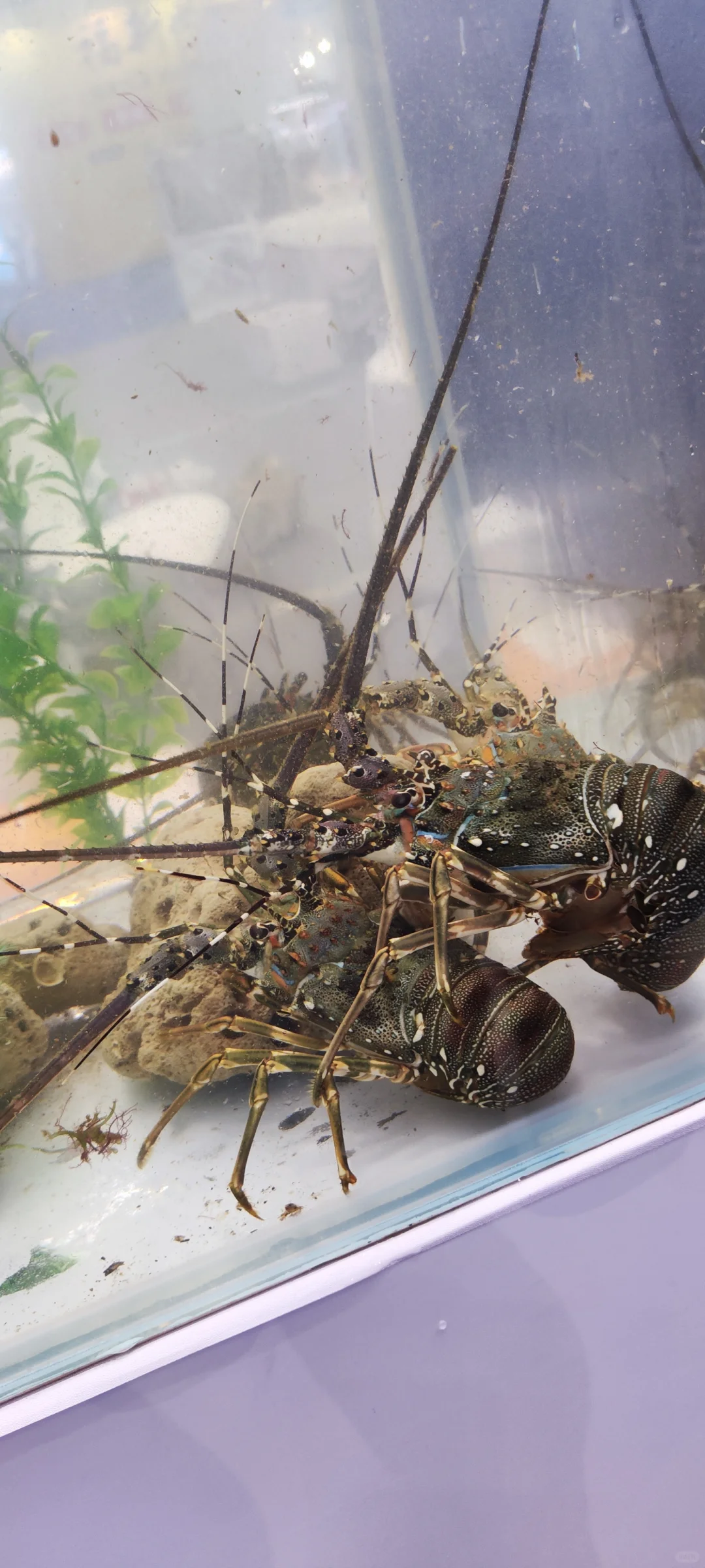 深圳渔业博览会〖会展中心〗