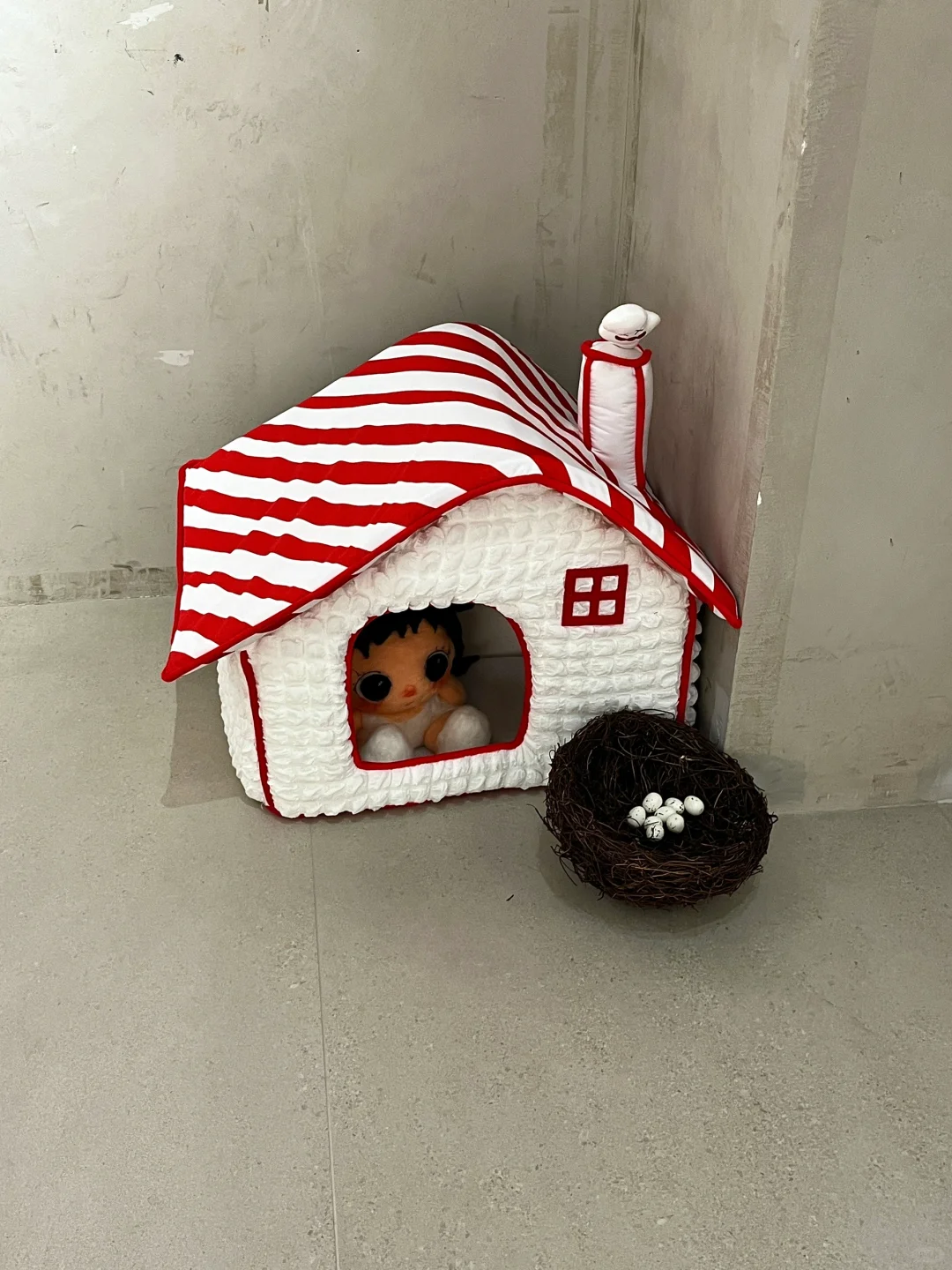 成都首展！！角闪石族族长！！啊啊啊好可爱！！！