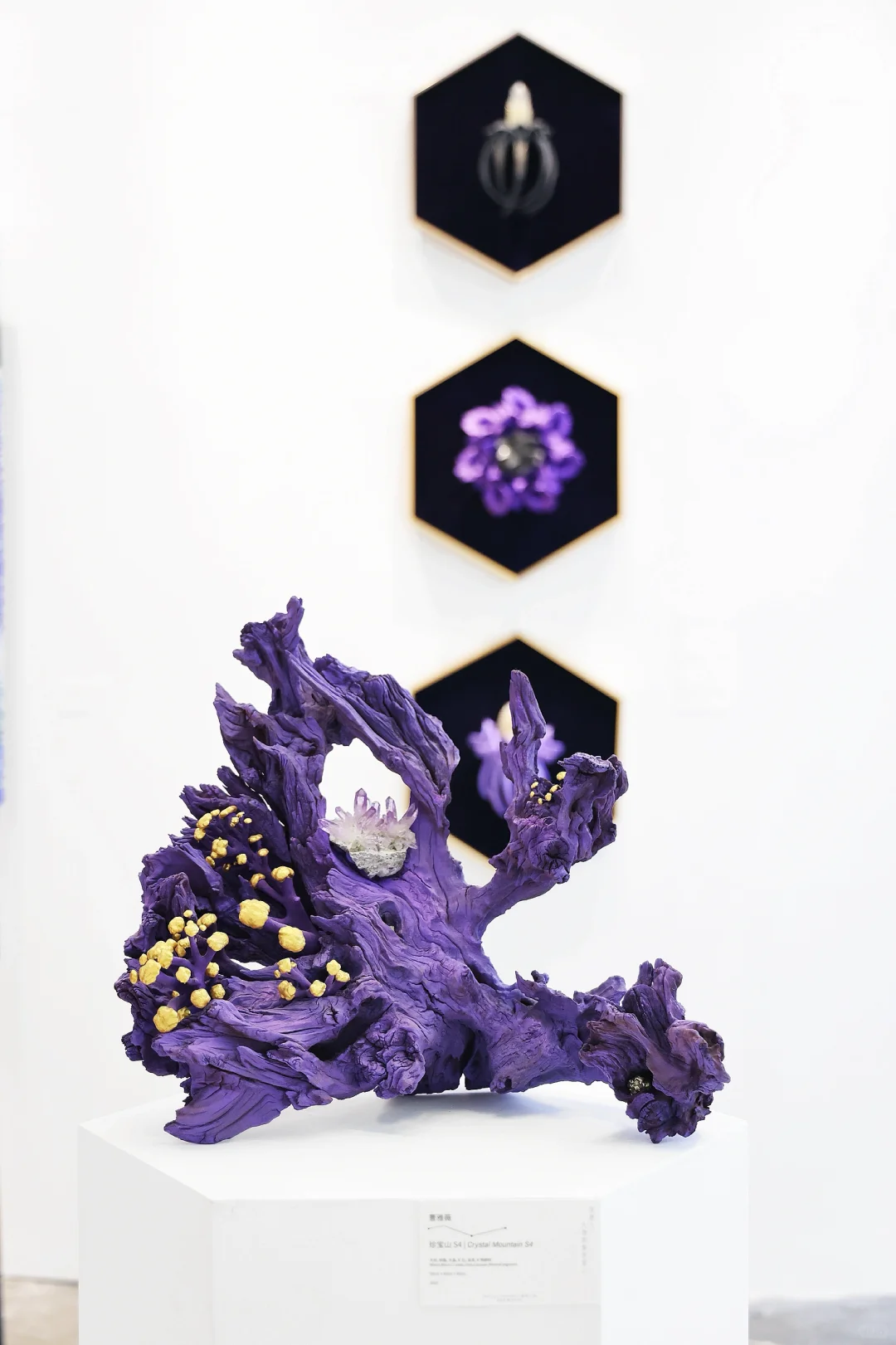 真正的「宝藏」展?南京矿博会太好逛啦?