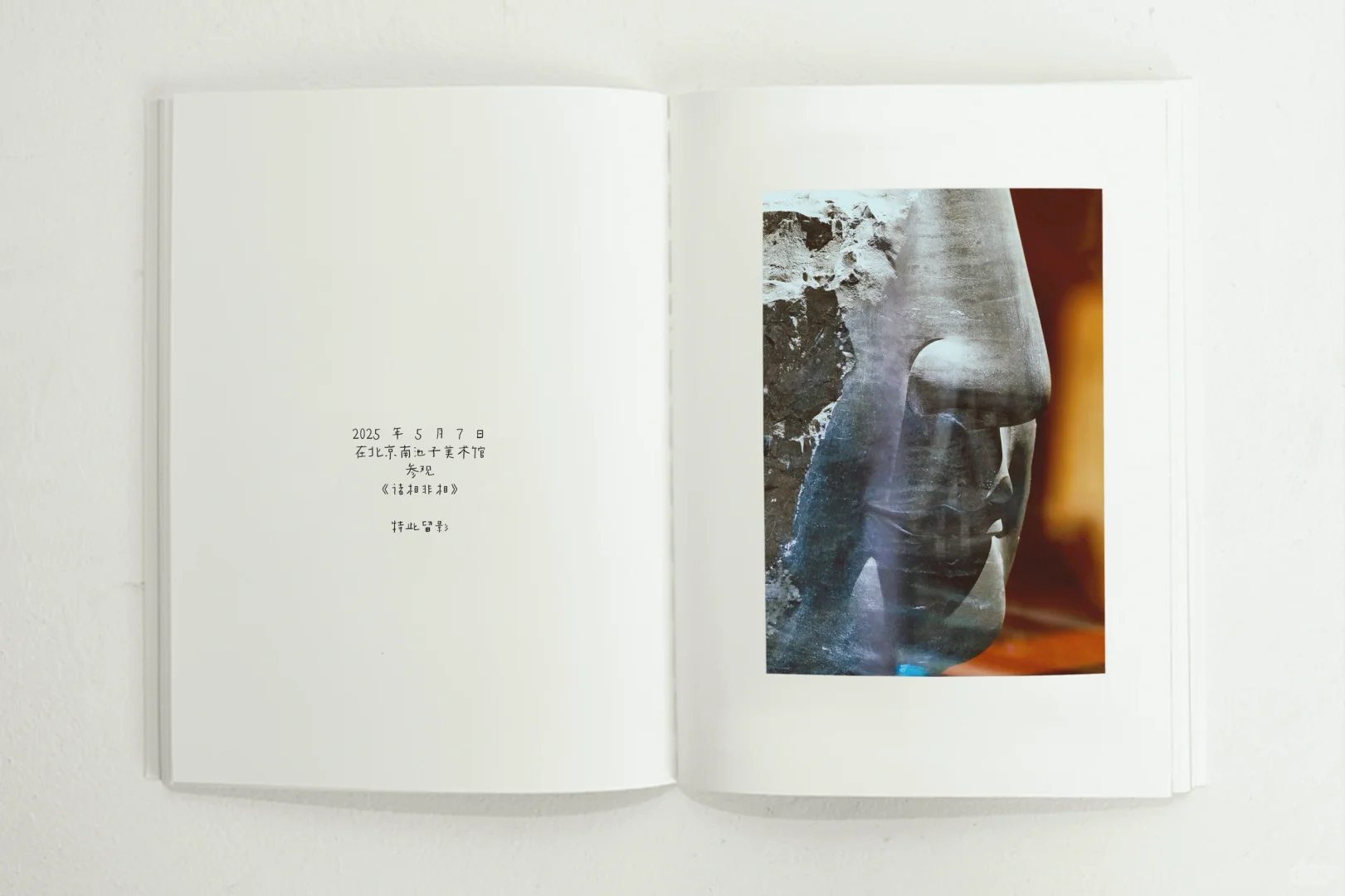 南池子美术馆《诸相非相》展览