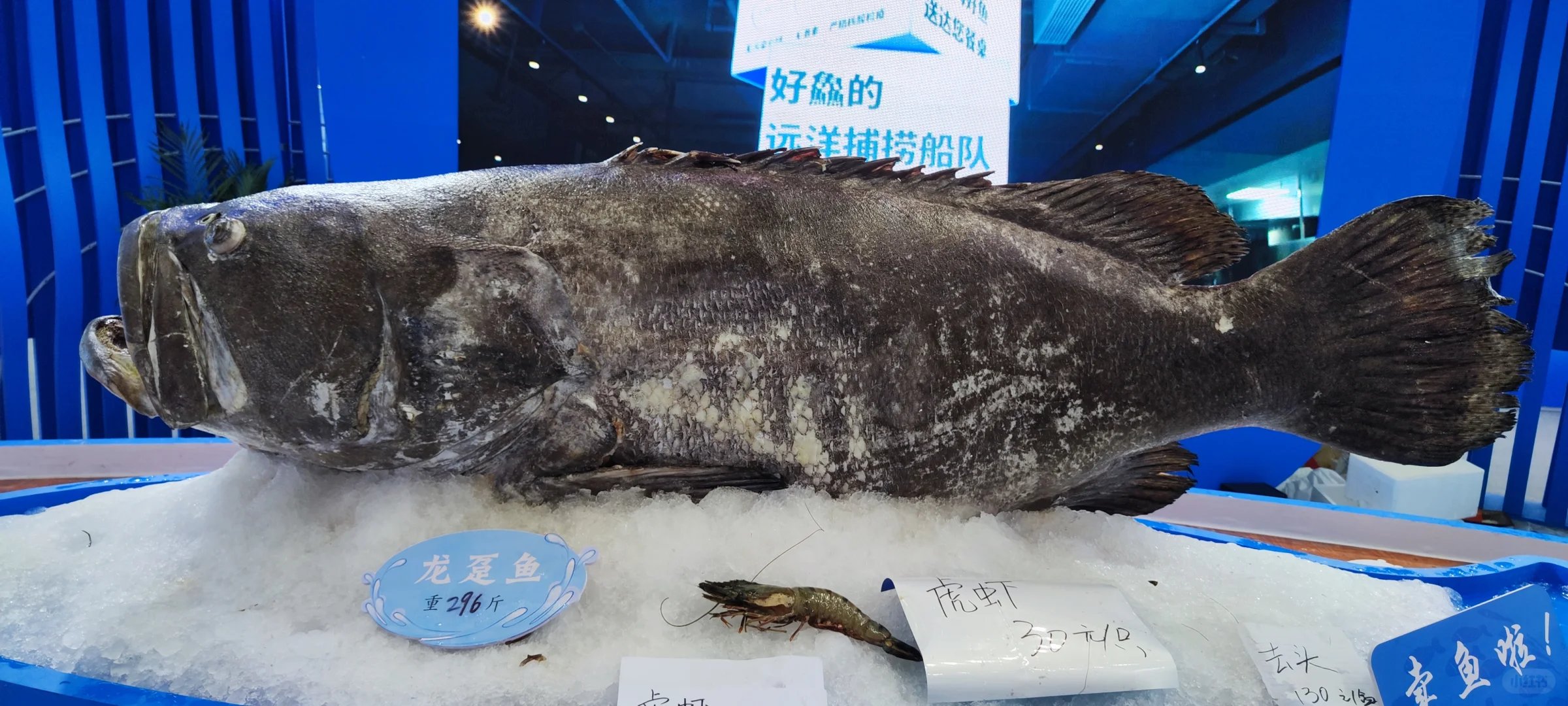 深圳渔业博览会〖会展中心〗