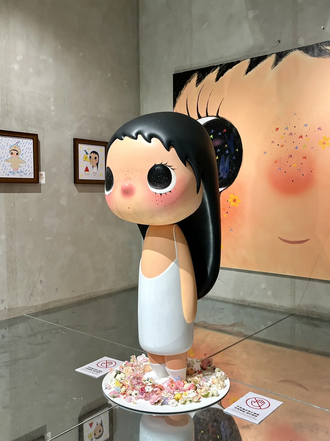 成都首展！！角闪石族族长！！啊啊啊好可爱！！！