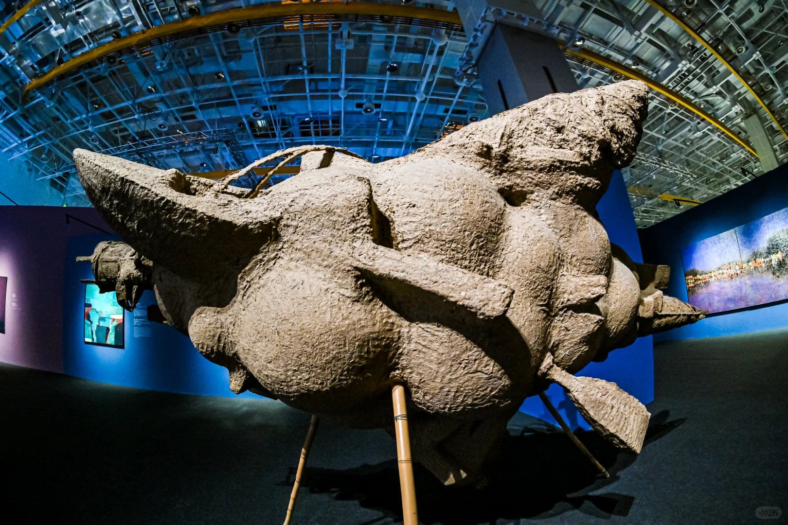 周日闭展！错过再等一年！