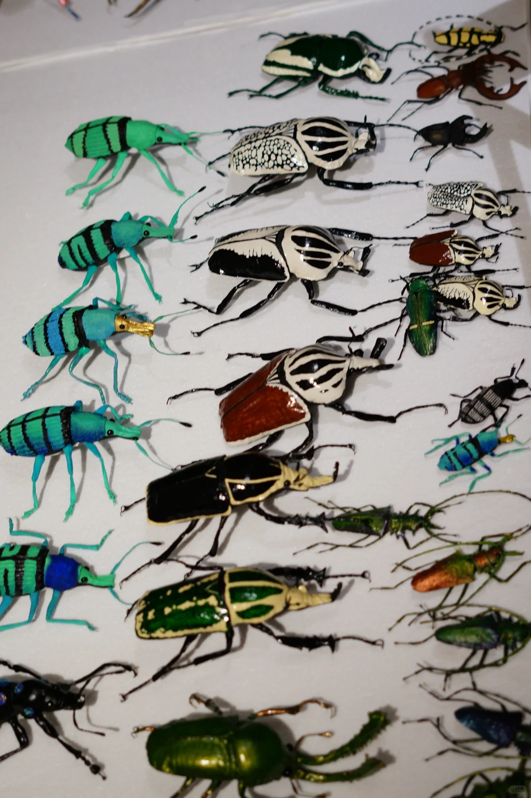 开展啦 | 我用布做了100只昆虫