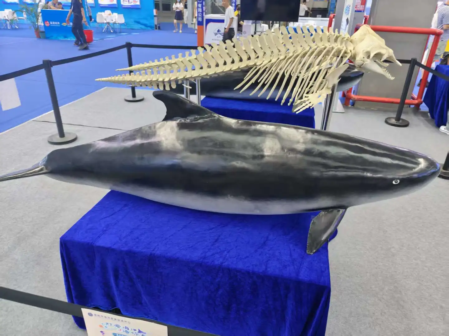 第一次参观深圳渔业博览会