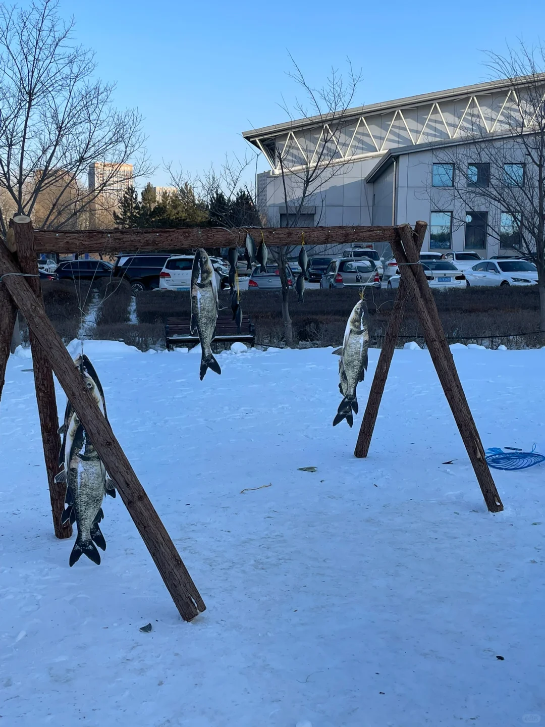 谁还没看第七届吉林冰雪产业国际博览会