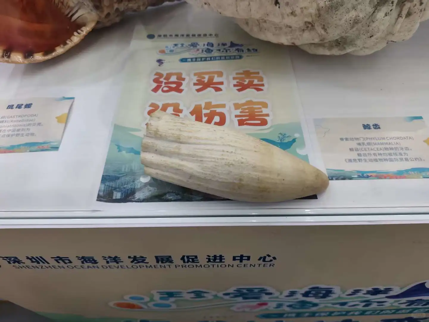 第一次参观深圳渔业博览会