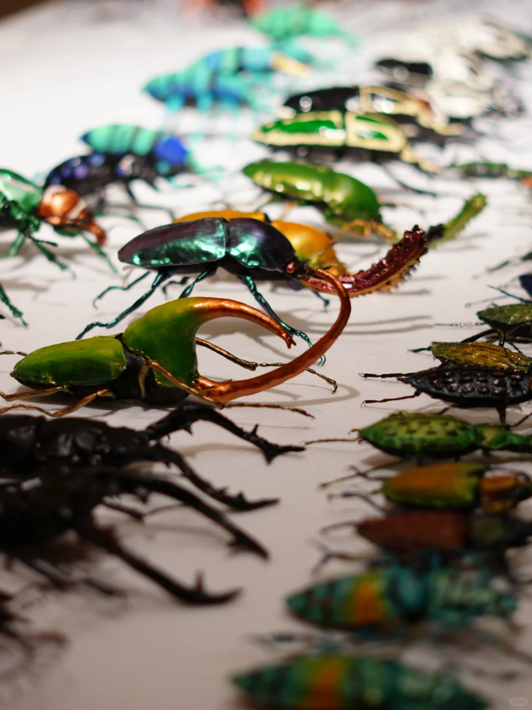 开展啦 | 我用布做了100只昆虫