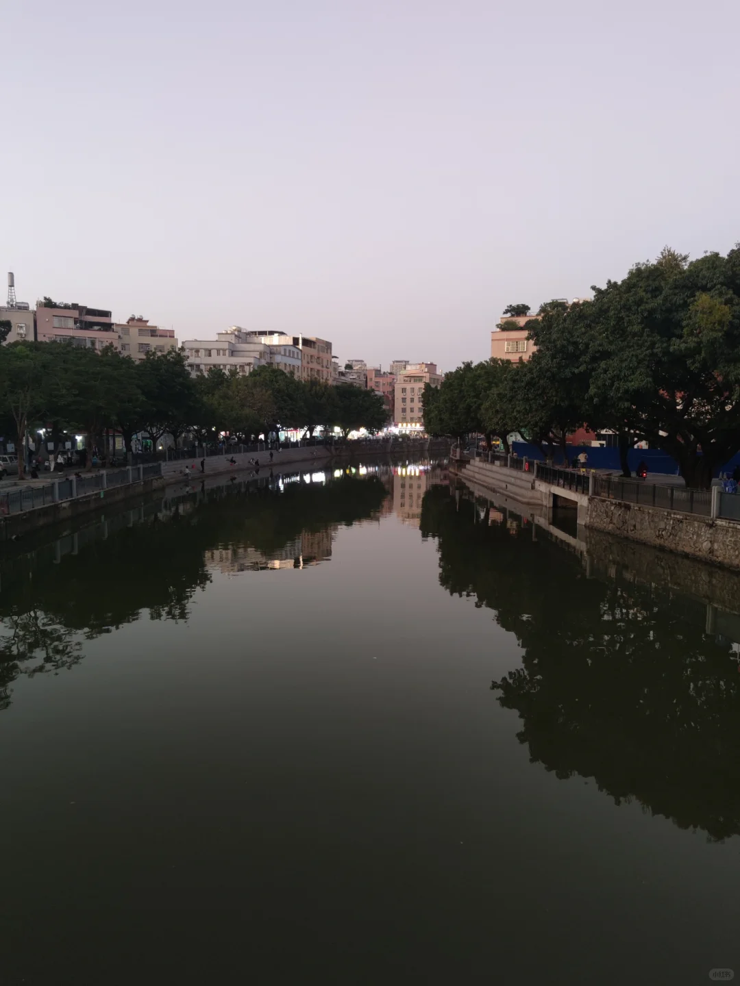 第一次逛茶博会~