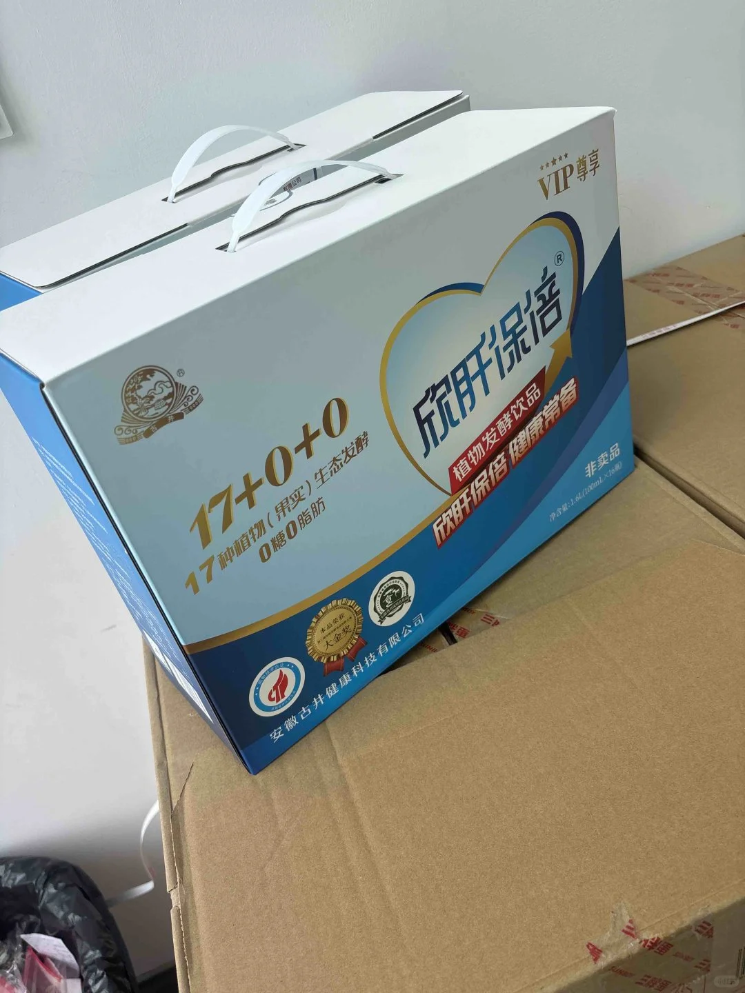 2025第十七届安徽茶博会攻略