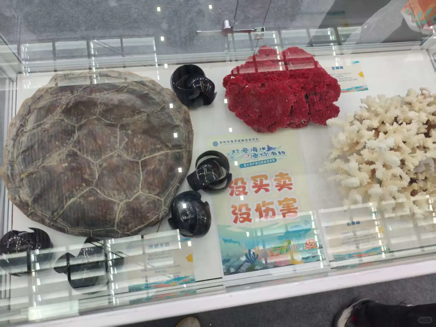 第一次参观深圳渔业博览会