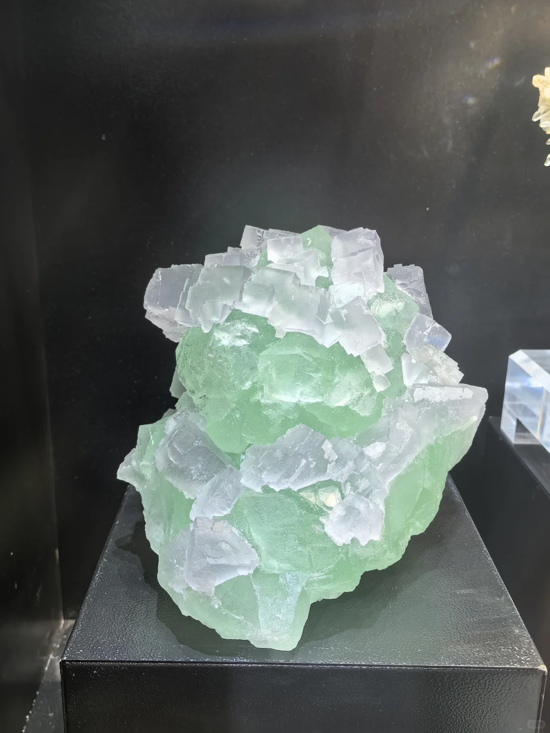 矿物宝石化石博览会