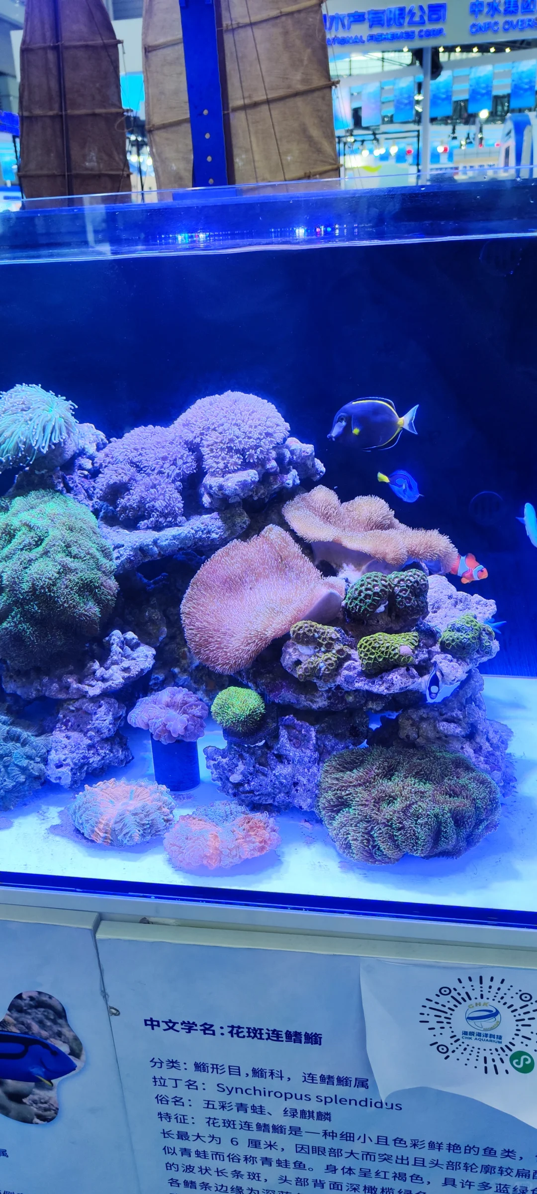 深圳渔业博览会〖会展中心〗