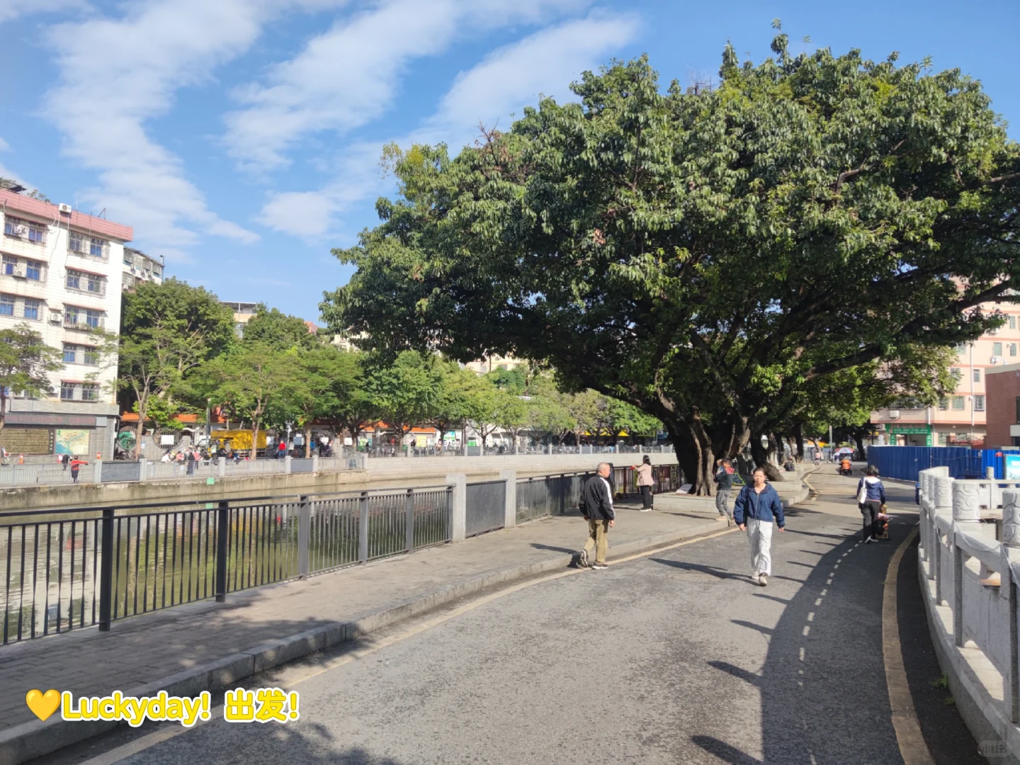 第一次逛茶博会~