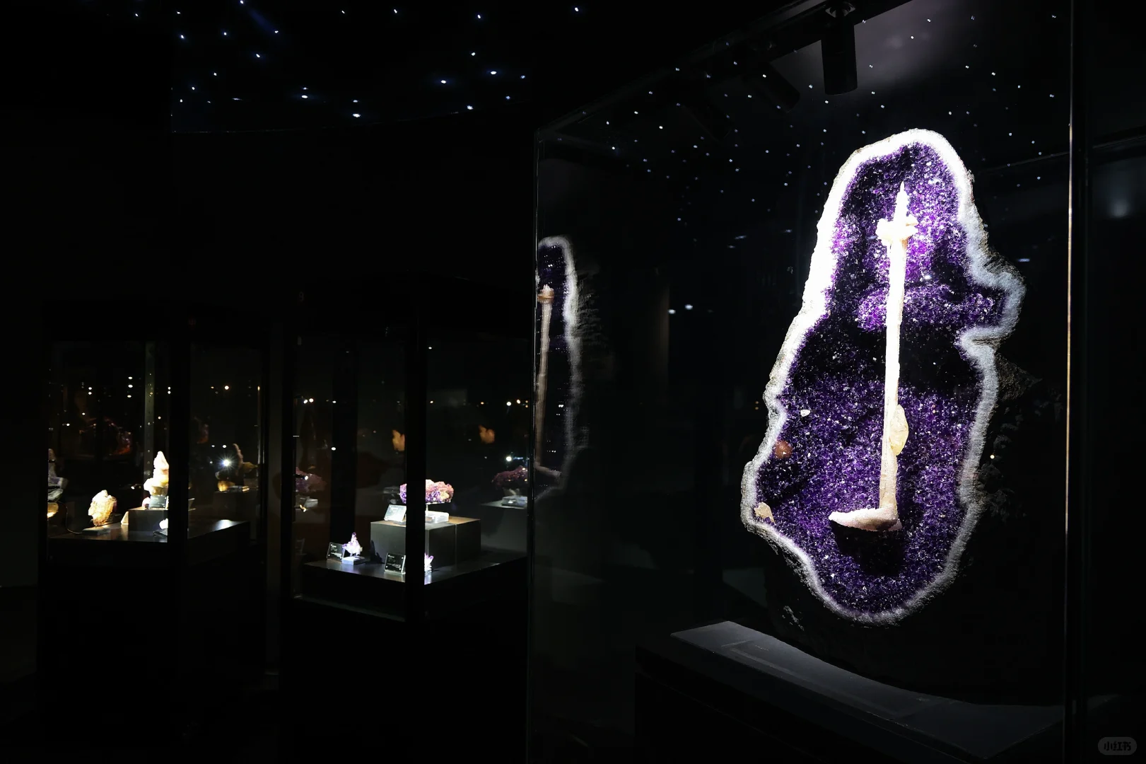 真正的「宝藏」展?南京矿博会太好逛啦?