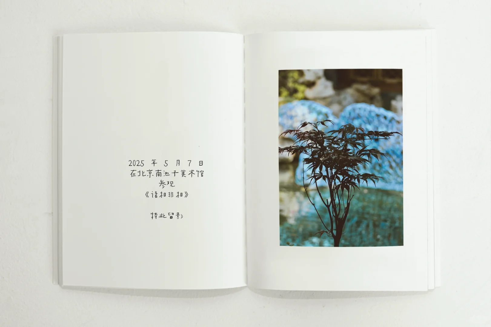 南池子美术馆《诸相非相》展览