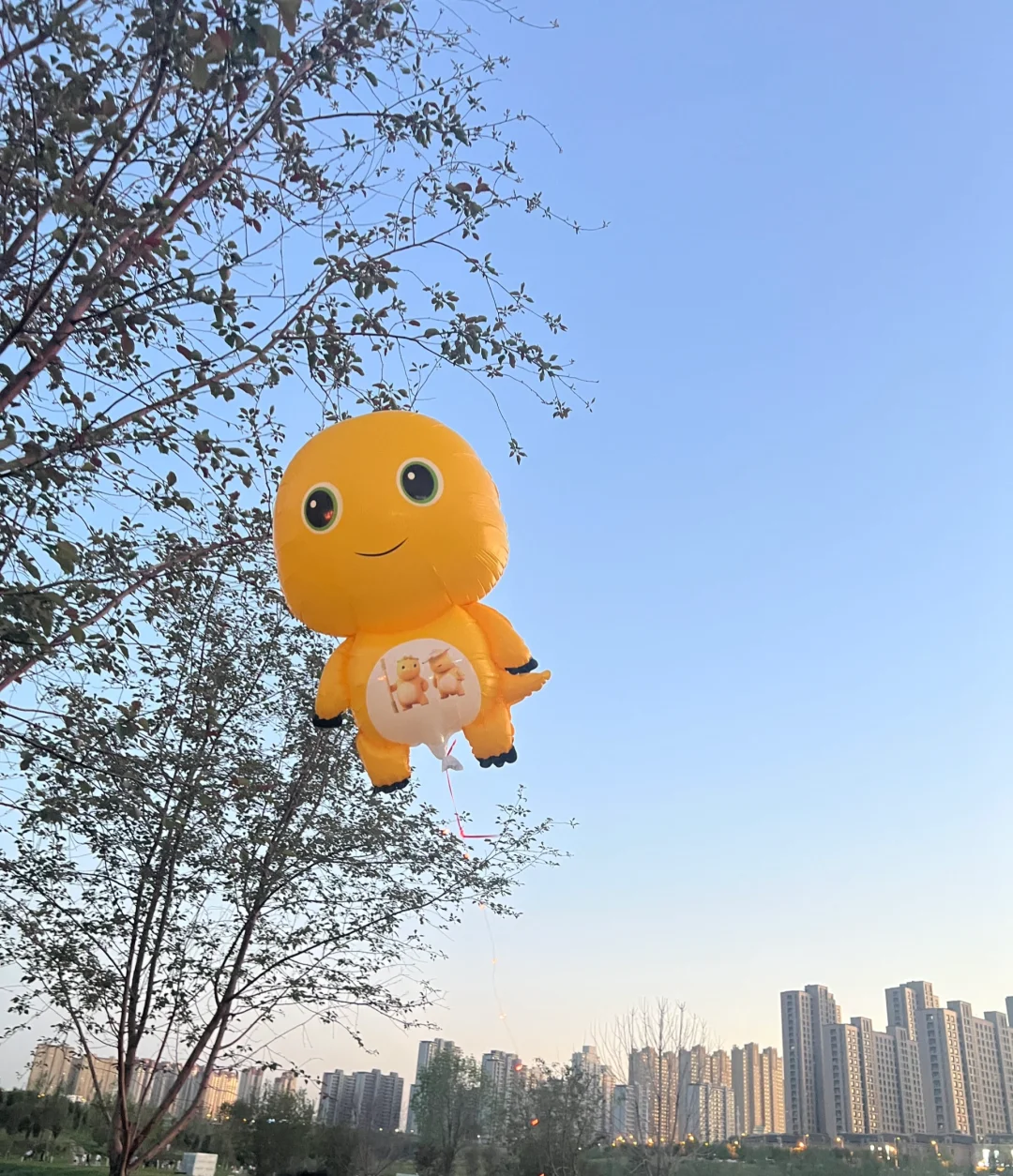 完整视角下的乌鲁木齐会展中心