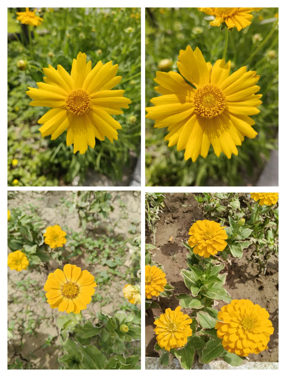 国家会展中心（天津）生态会客厅