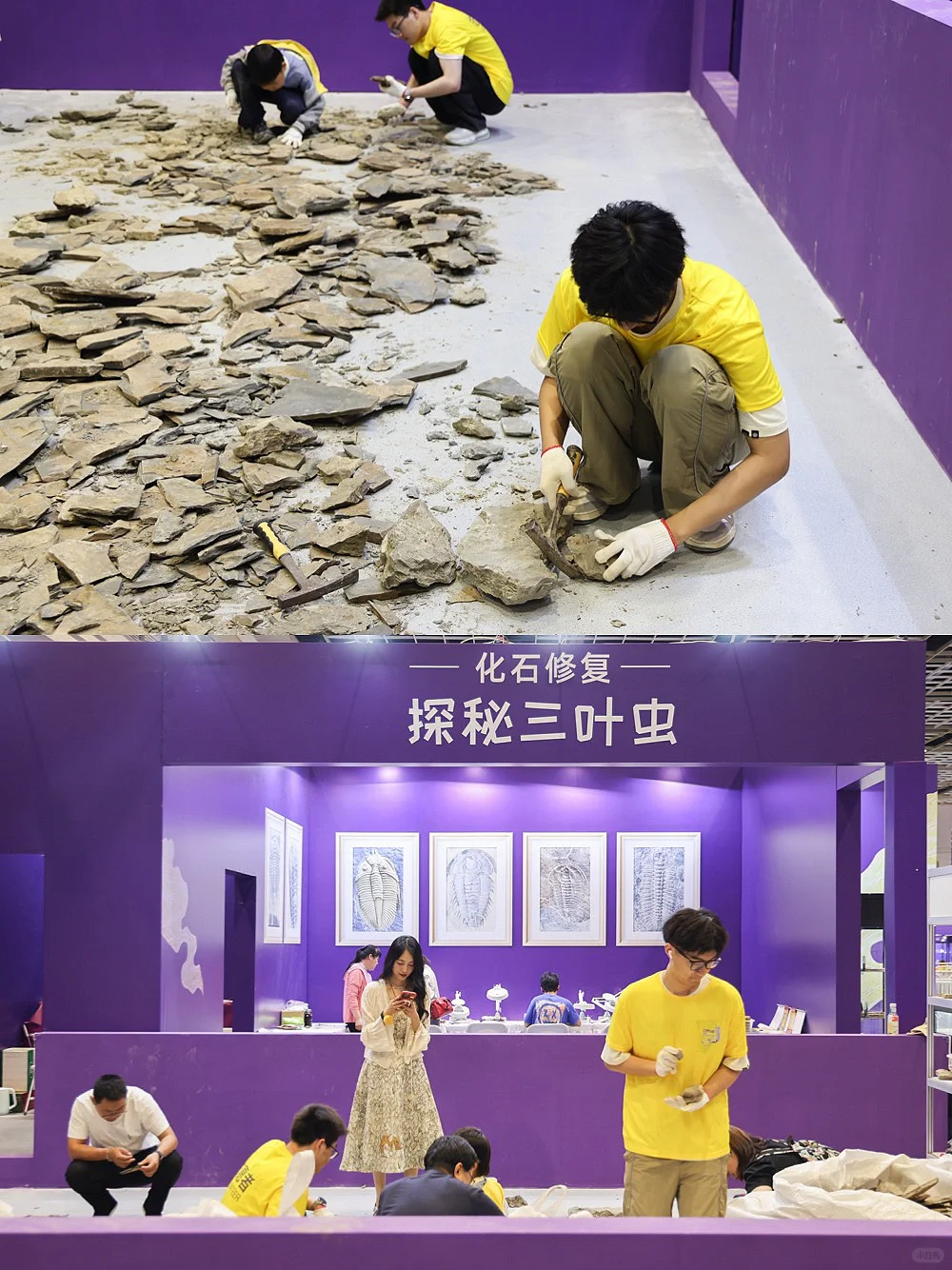 真正的「宝藏」展?南京矿博会太好逛啦?