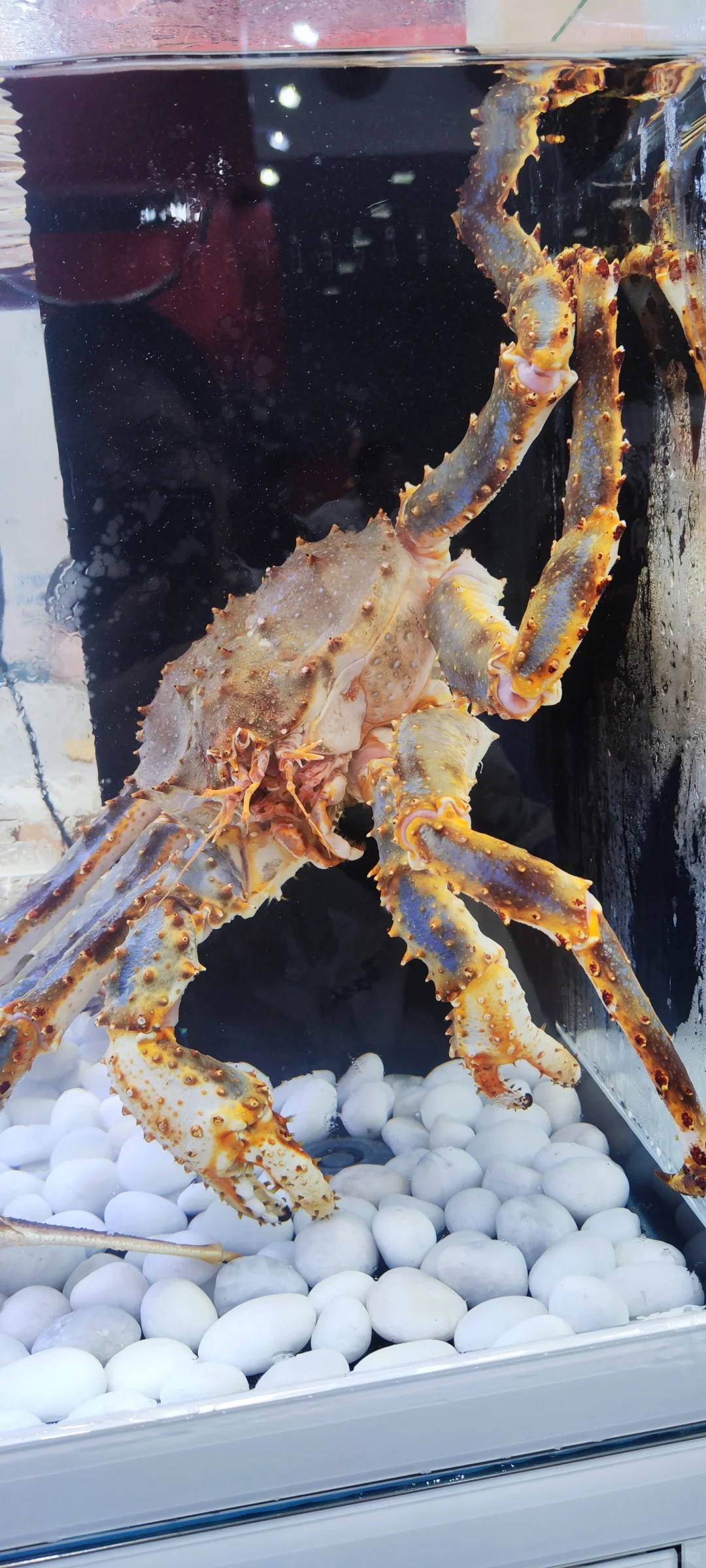 深圳渔业博览会〖会展中心〗