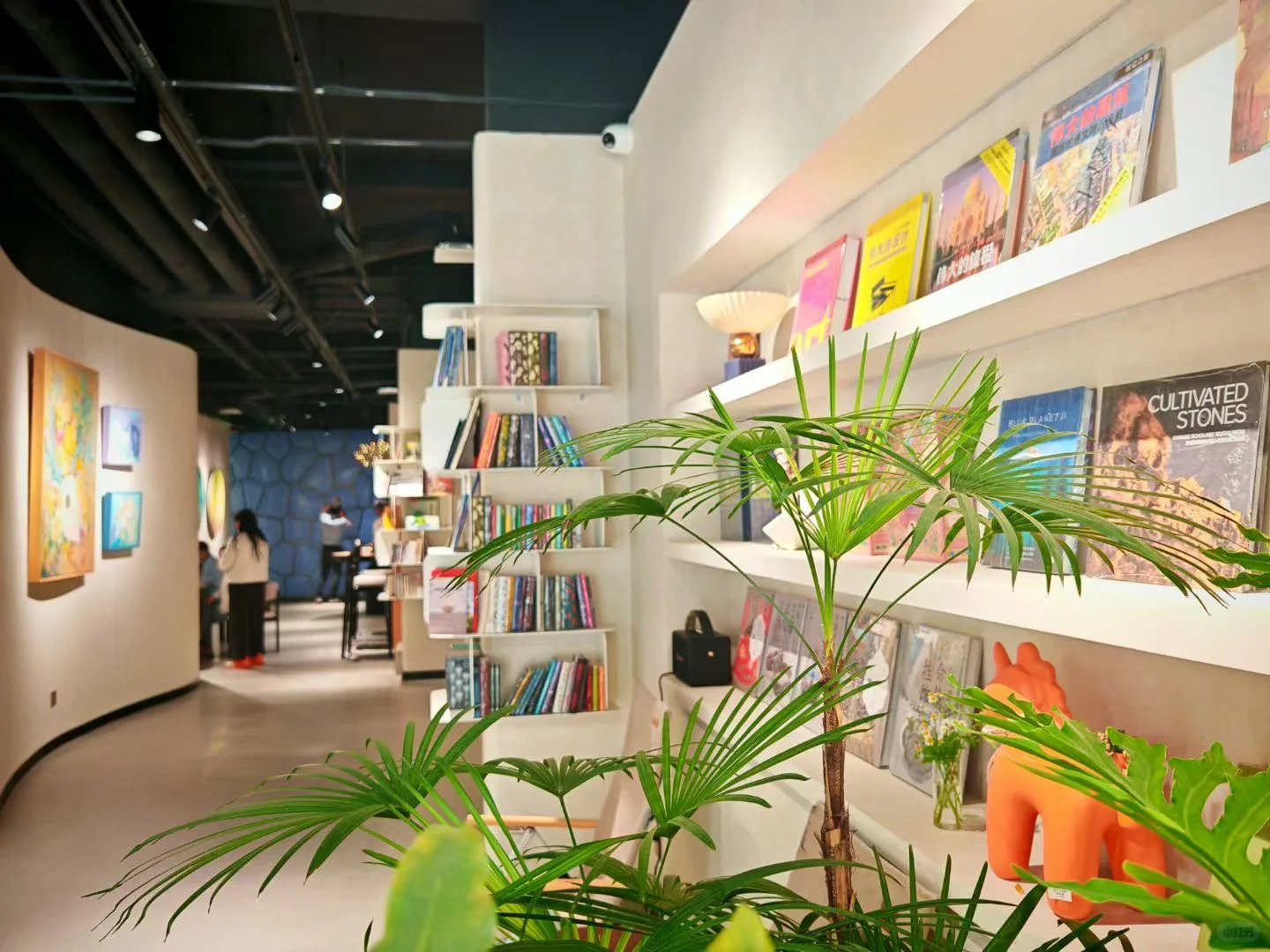 石家庄新展‖ 邀请你参加