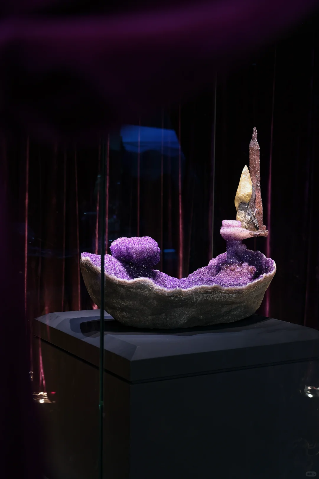 真正的「宝藏」展?南京矿博会太好逛啦?