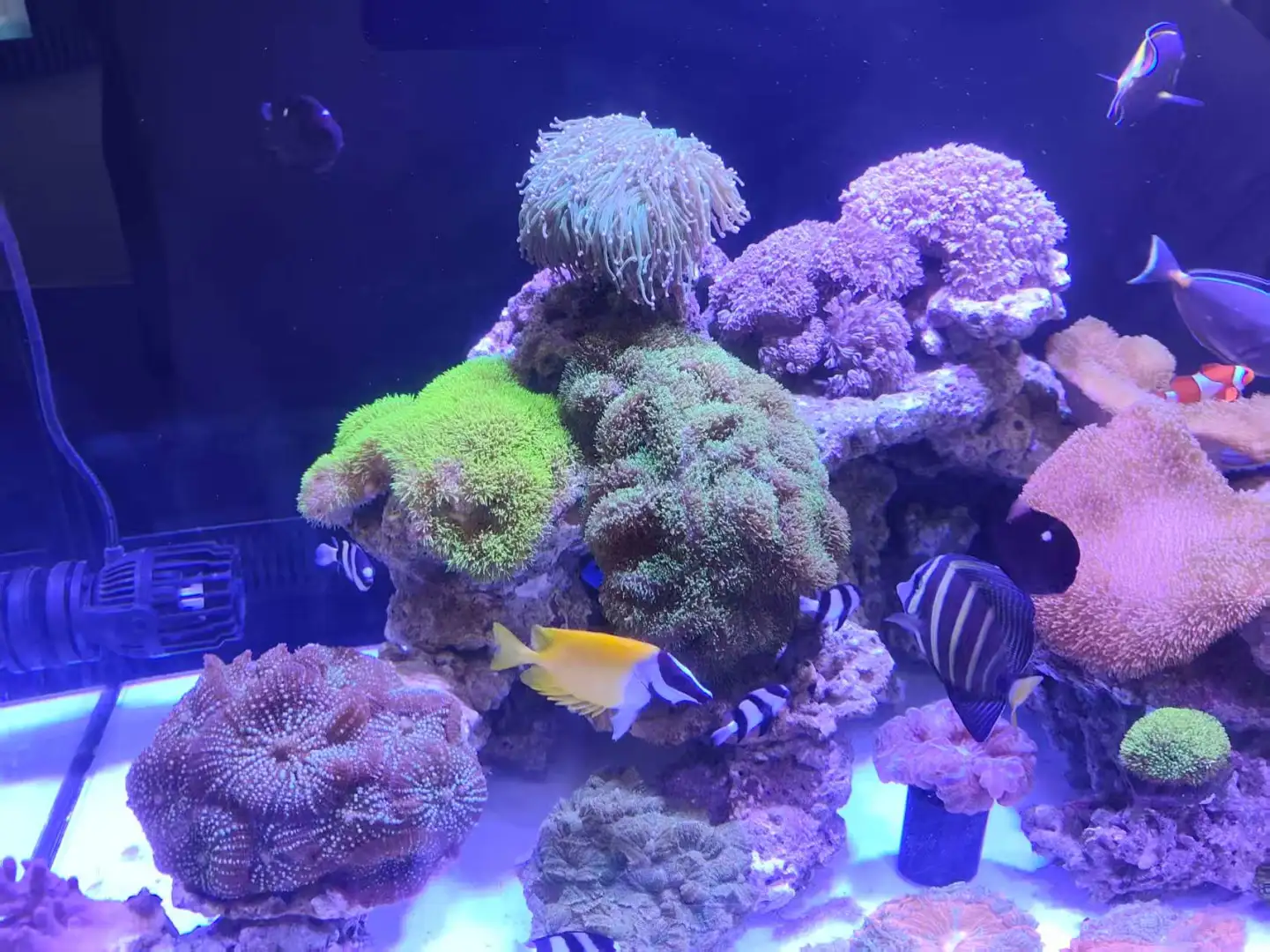 第一次参观深圳渔业博览会