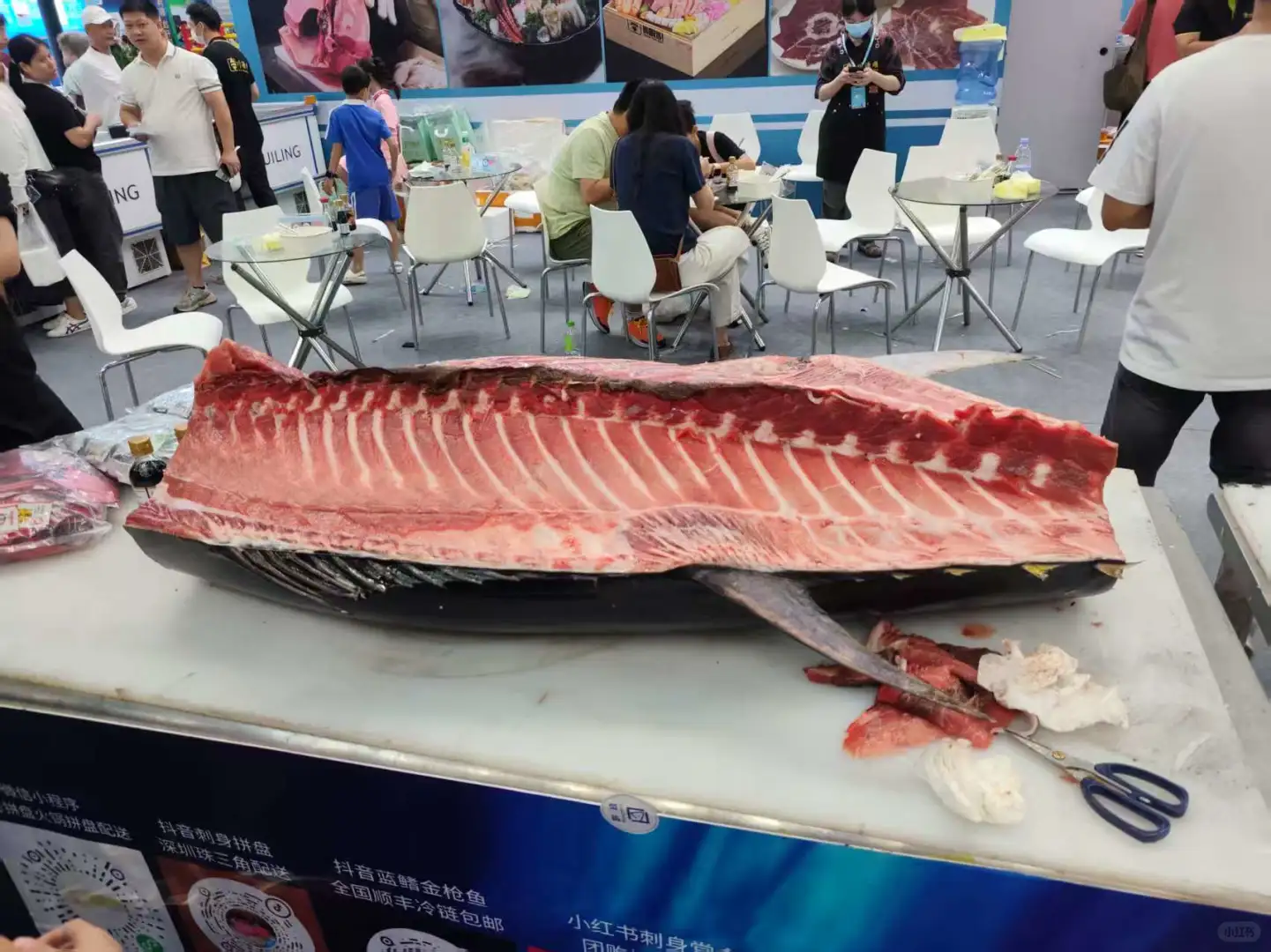 第一次参观深圳渔业博览会