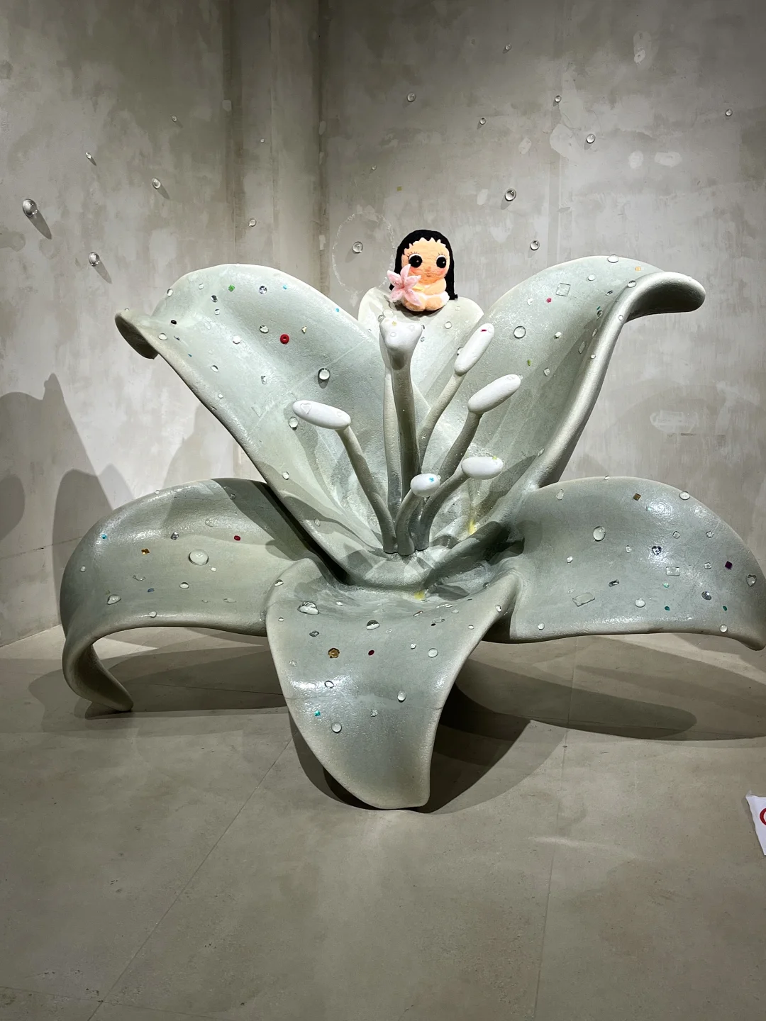 成都首展！！角闪石族族长！！啊啊啊好可爱！！！