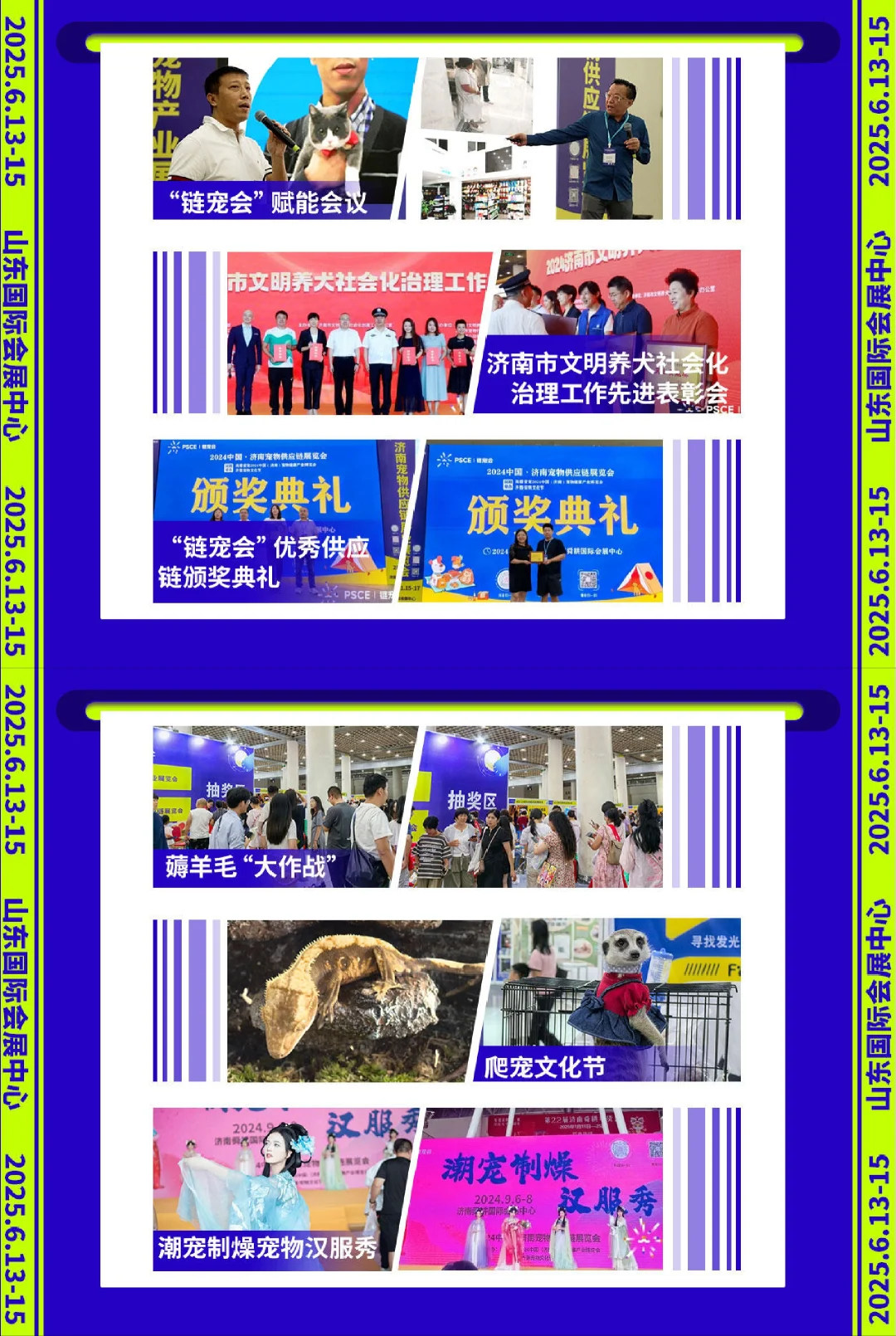 2025济南大型宠物展来啦！