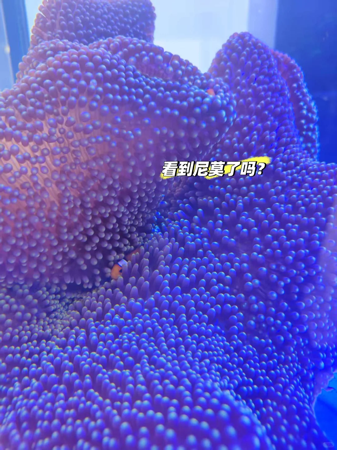 第一次参观深圳渔业博览会