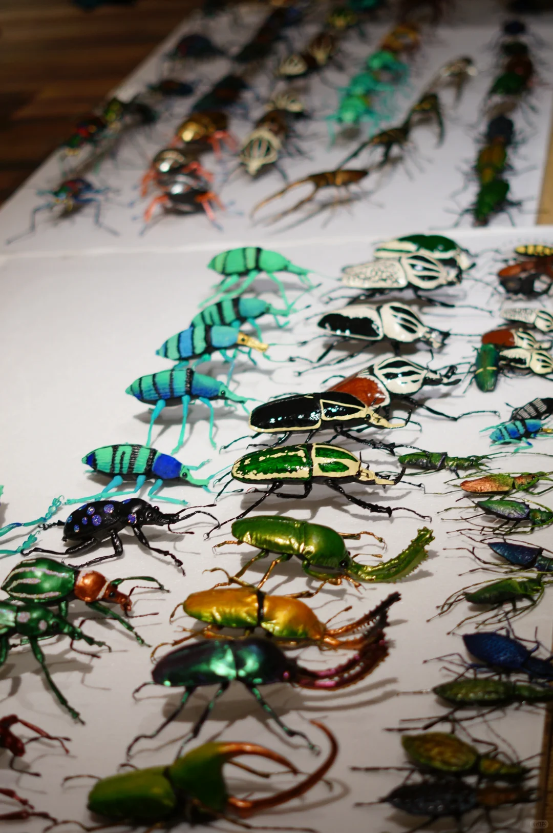 开展啦 | 我用布做了100只昆虫