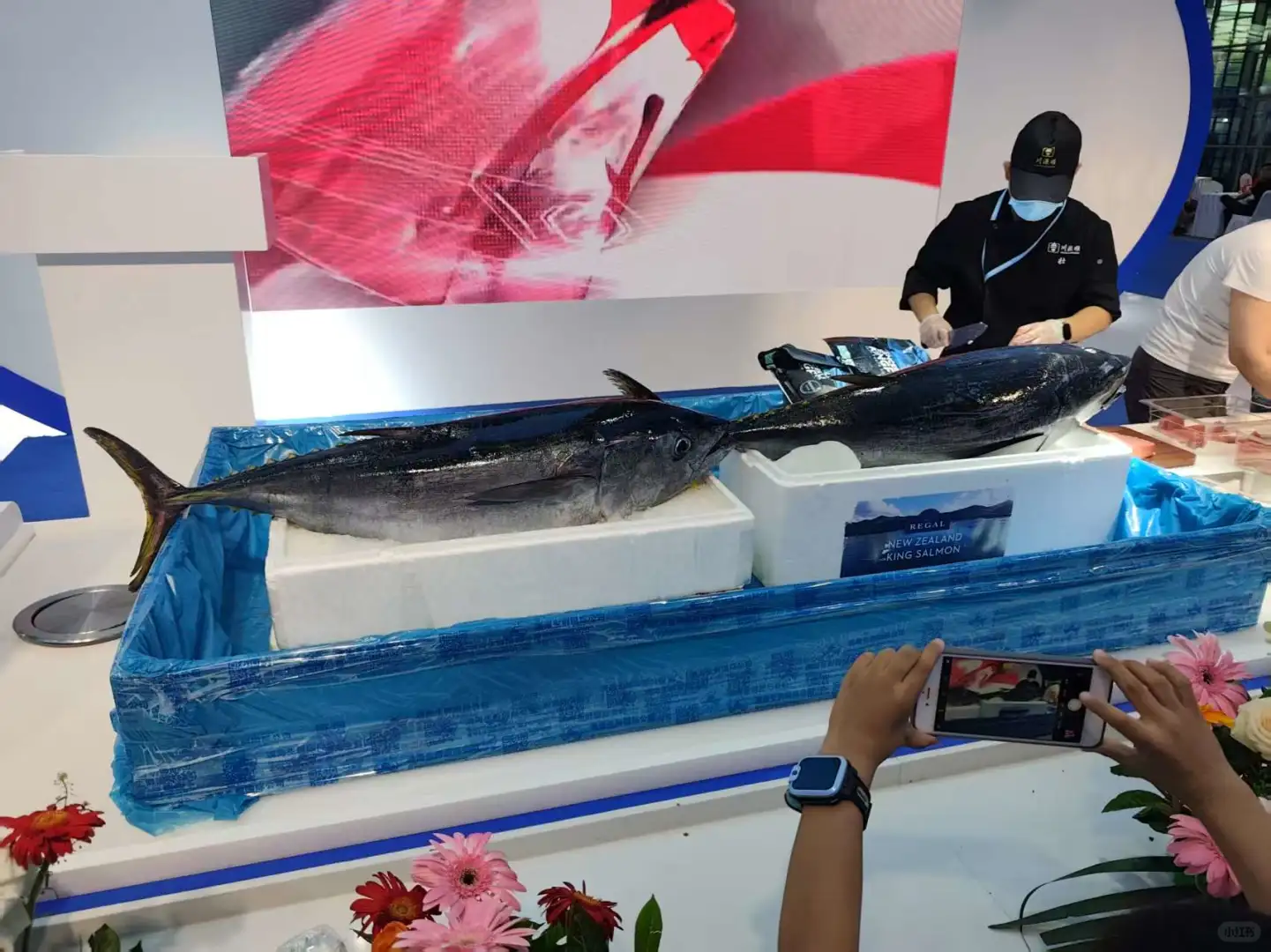 第一次参观深圳渔业博览会