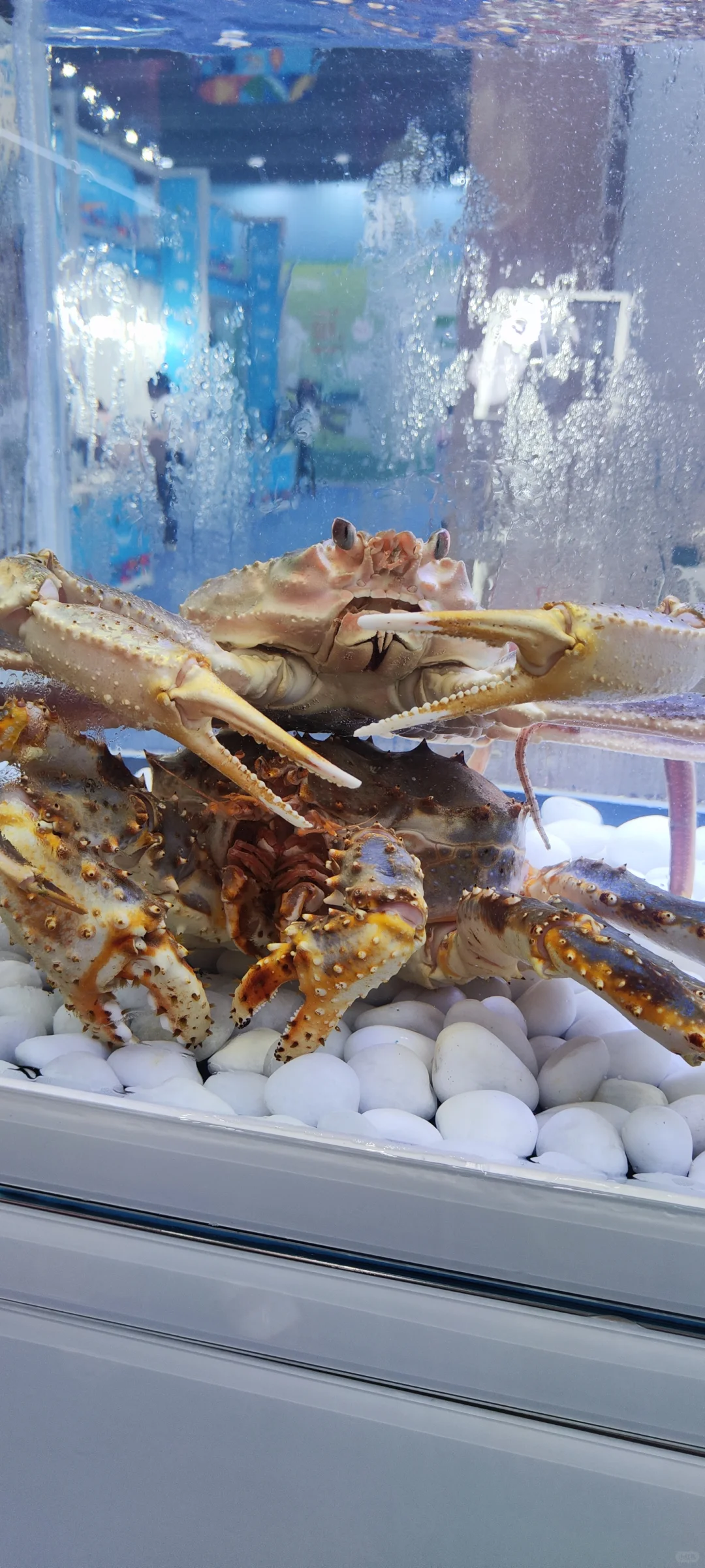 深圳渔业博览会〖会展中心〗