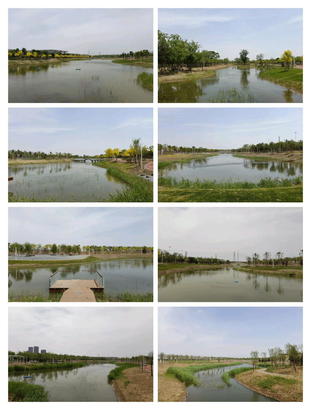 国家会展中心（天津）生态会客厅