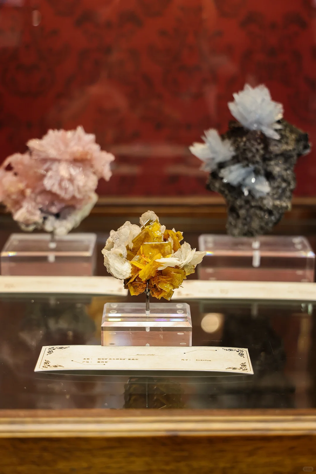 真正的「宝藏」展?南京矿博会太好逛啦?