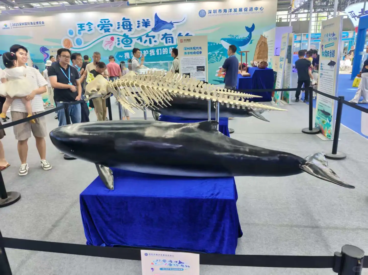 第一次参观深圳渔业博览会