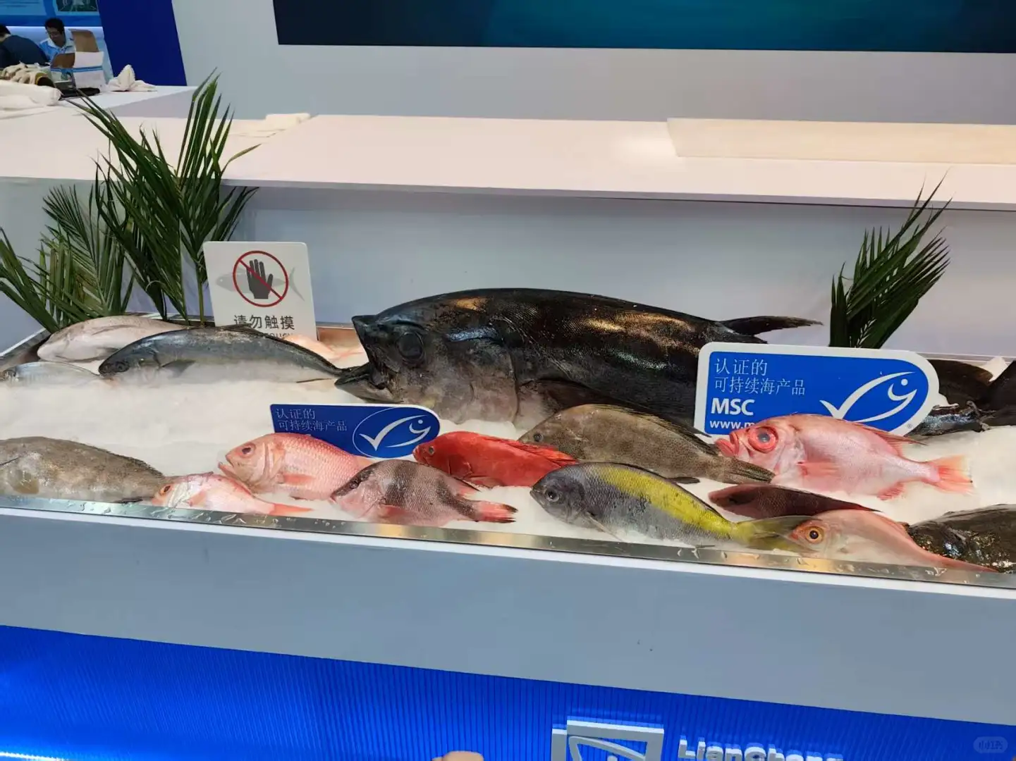 第一次参观深圳渔业博览会
