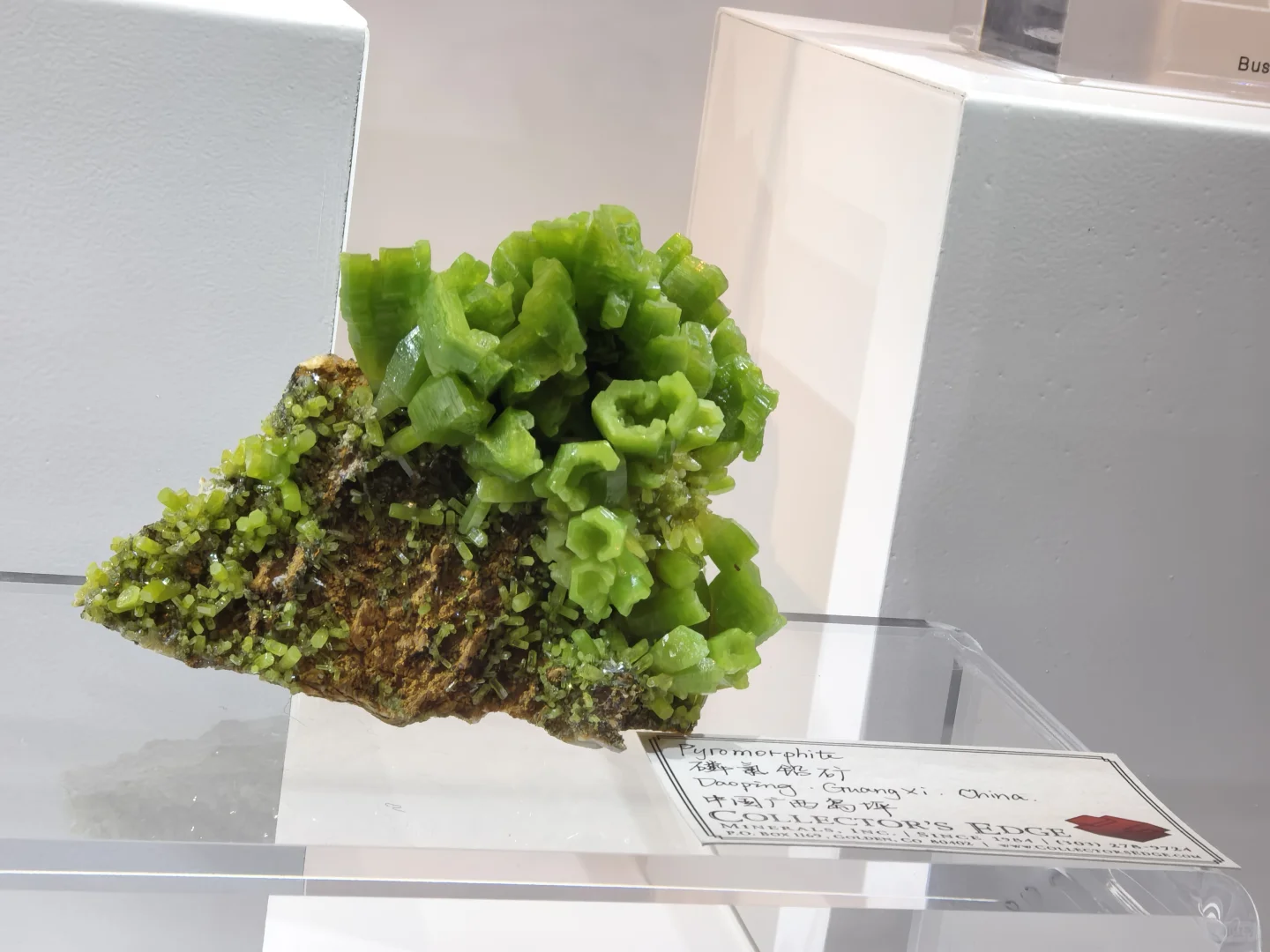 矿物宝石化石博览会