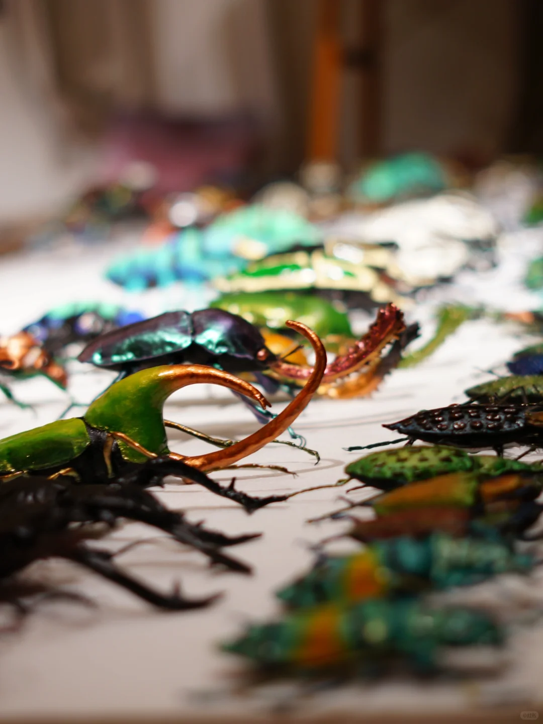 开展啦 | 我用布做了100只昆虫