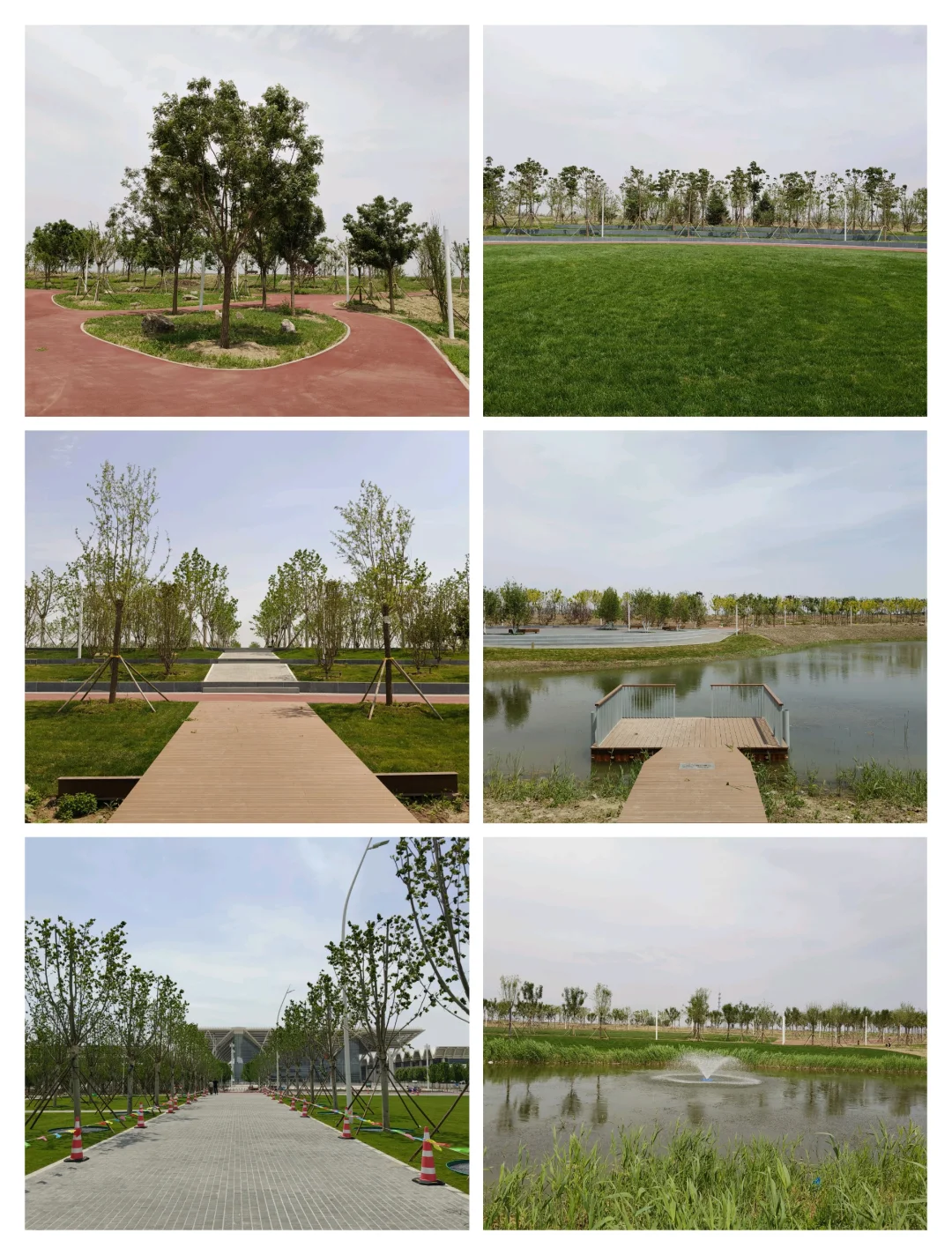 国家会展中心（天津）生态会客厅