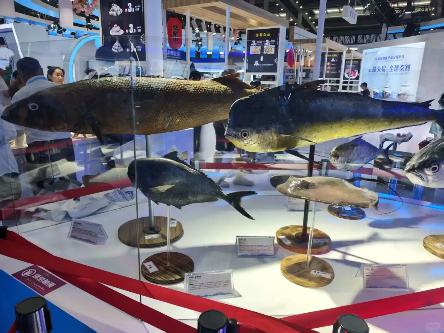 第一次参观深圳渔业博览会